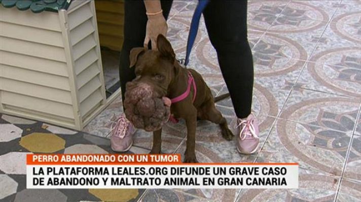 Cerca de ti - Cerca de ti - 12/06/2020