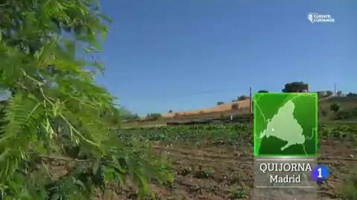 Aquí la Tierra - ¿Qué es la hidroponía?