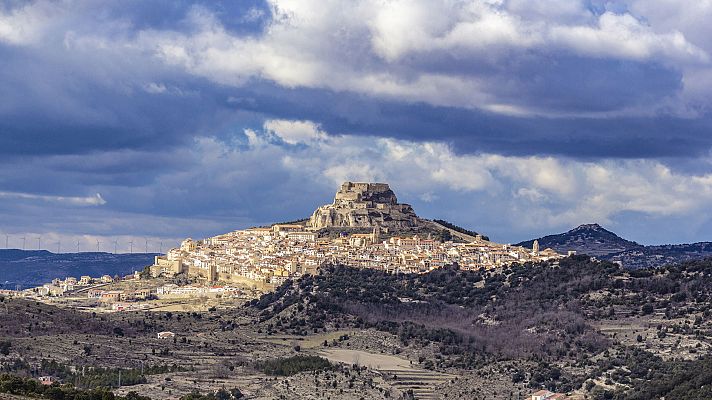 Morella