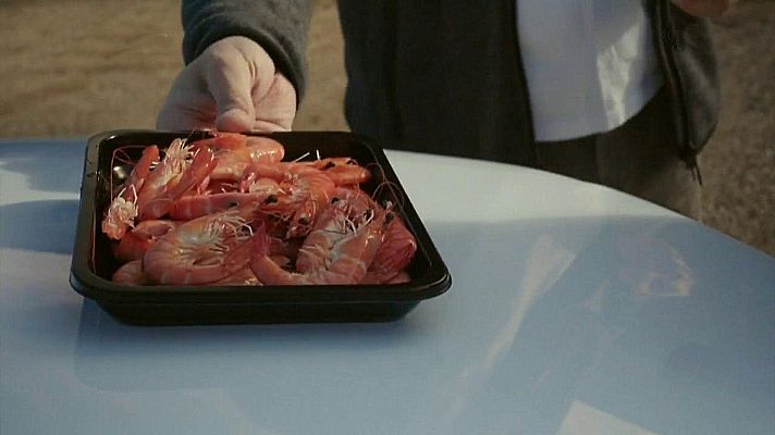 Las Rutas de... - Valladolid: tierra de pioneros