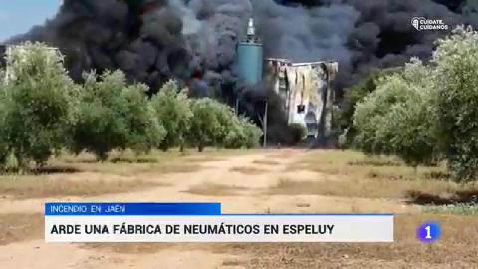 Incendio en una fábrica de neumaticos de Jaén