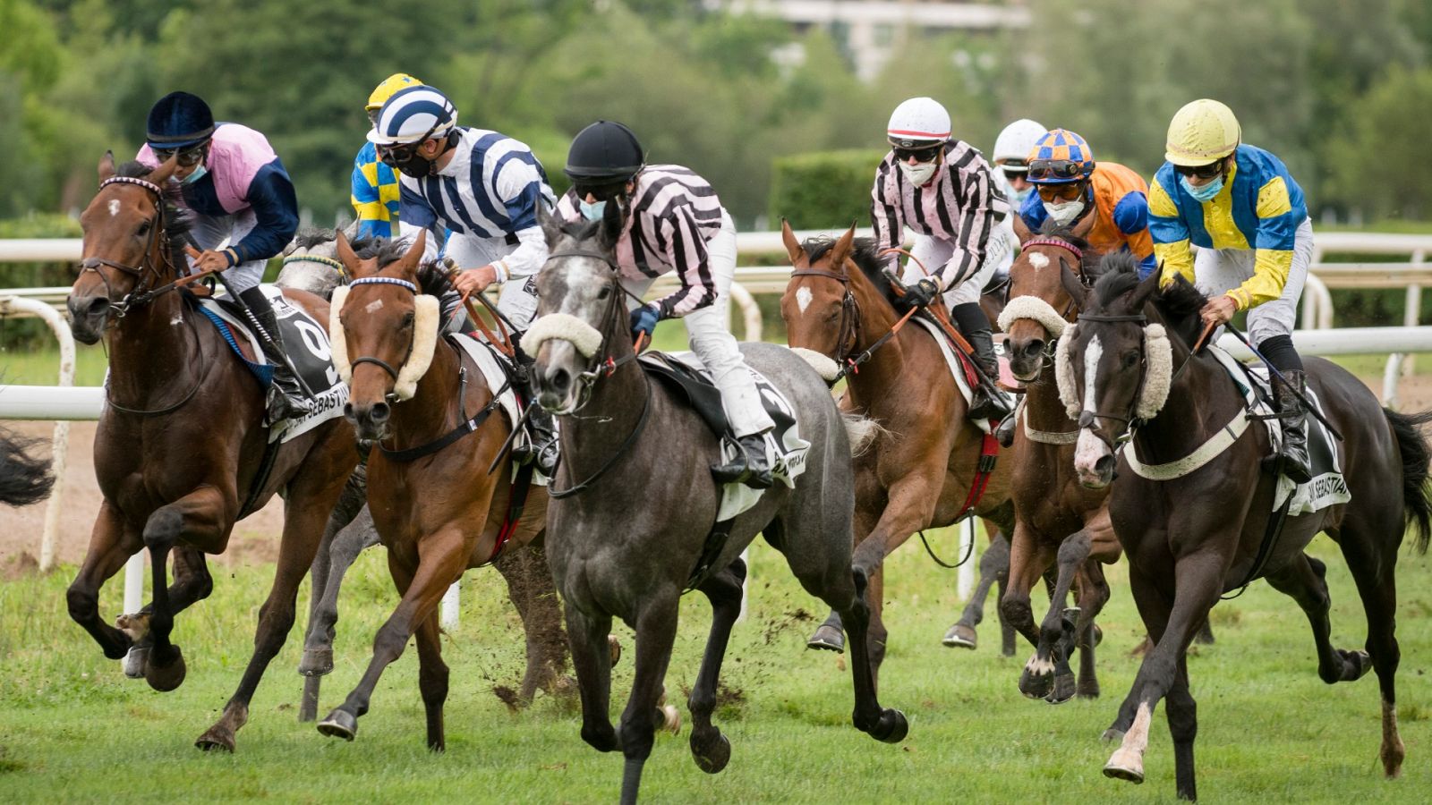 Hípica - Circuito Nacional de carreras de caballos - RTVE.es