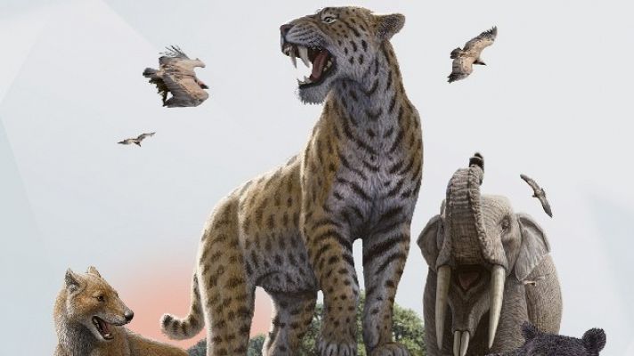 Telediario 1 - El Cosmocaixa ha reabierto sus puertas con modificaciones por el coronavirus