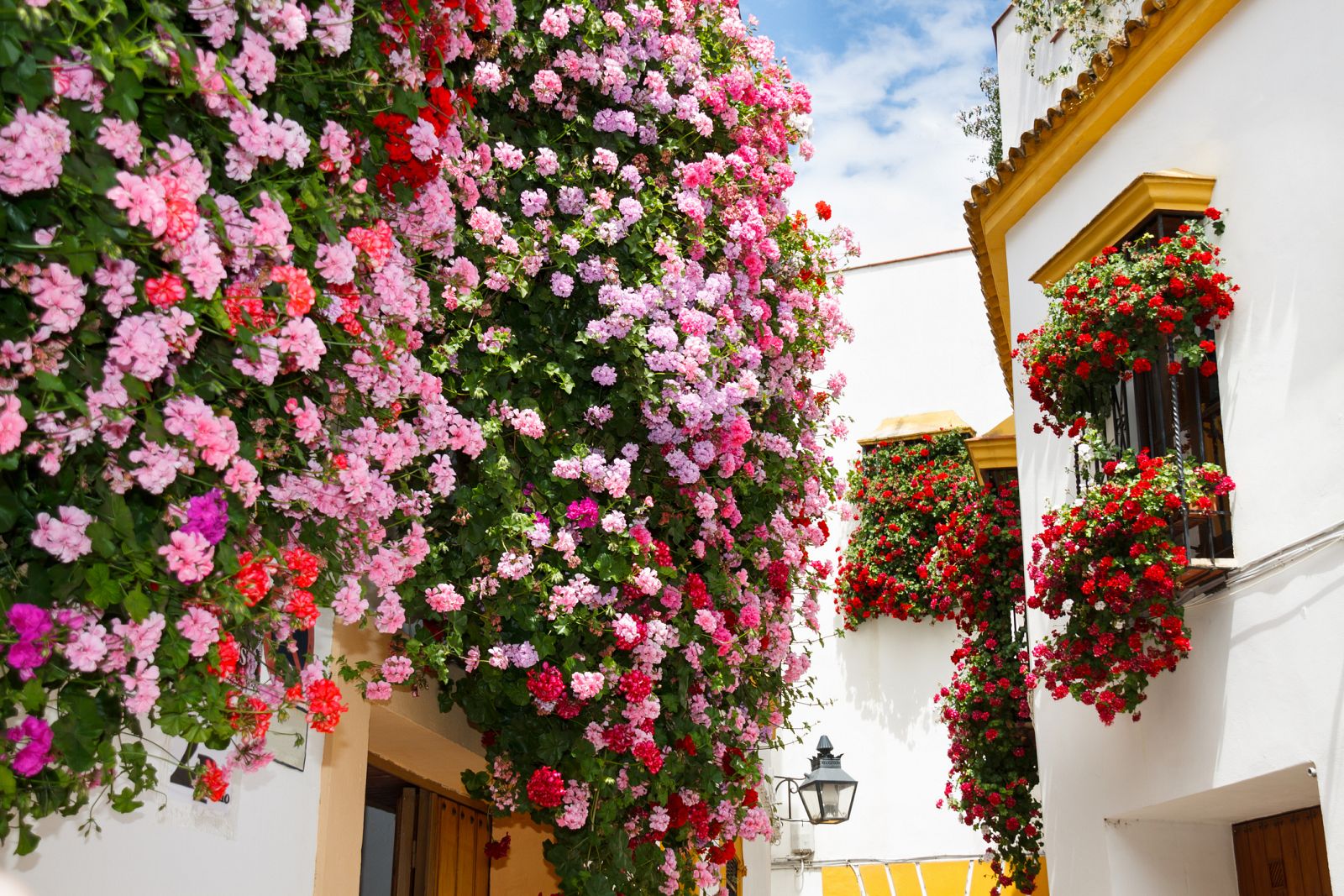 Concurso de rejas y balcones de Córdoba