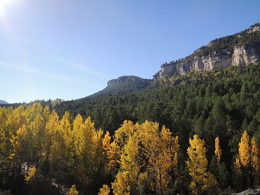 ¡Felices 20 al Parque Natural del Alto Tajo!