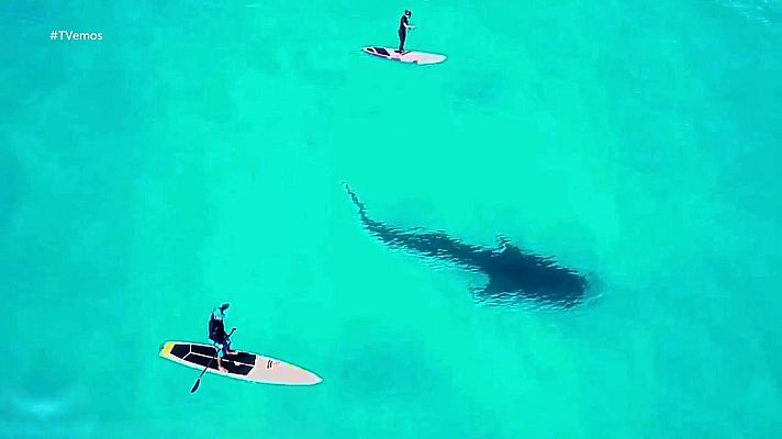 Tvemos - Tvemos - 22/08/20 (2)