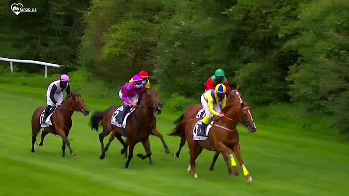 Hípica - Circuito nacional de carreras de caballos, San Sebastián