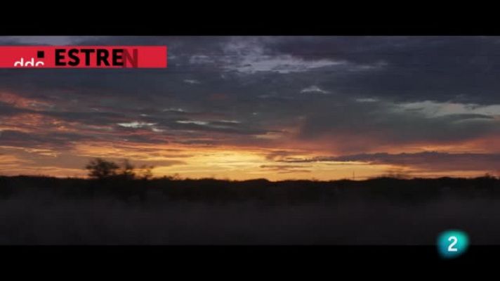 Días de cine - 'Los lobos'