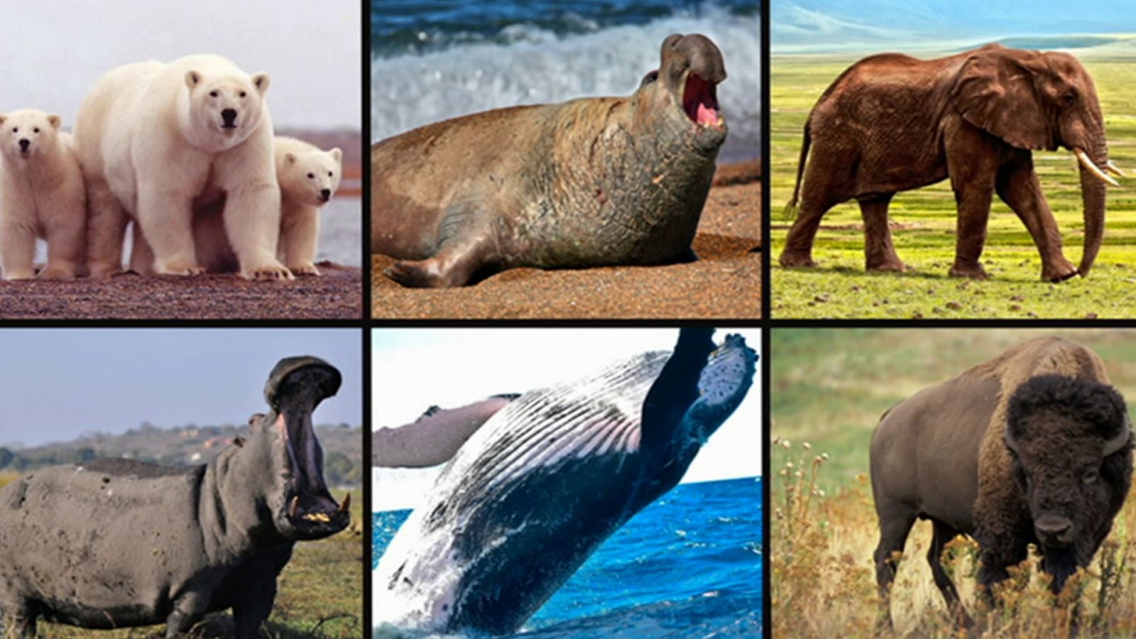 Saber y ganar - 19/06/20 - ver ahora