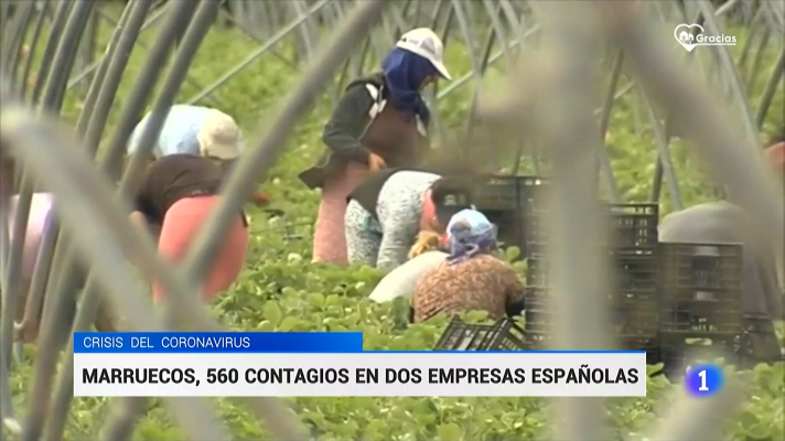 RTVE Igualdad - Un brote de COVID-19 en Marruecos afecta a trabajadoras en dos empresas españolas