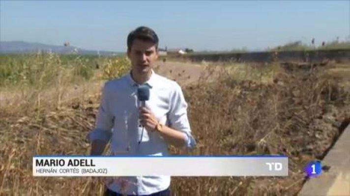 Telediario 1 - Luto en Don Benito por la muerte por ahogamiento de dos menores de edad