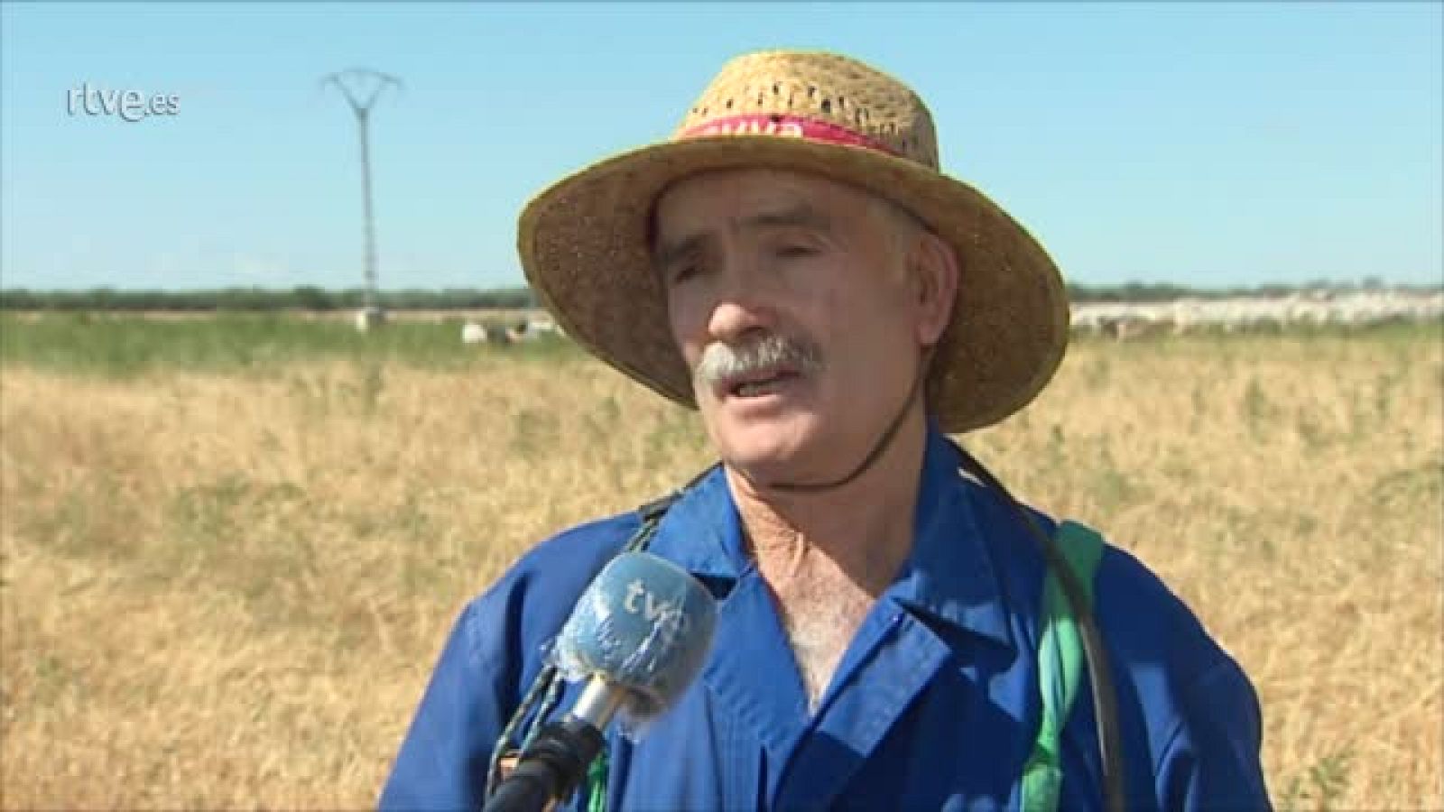 La doble crisis que el coronavirus provoca en la ganadería