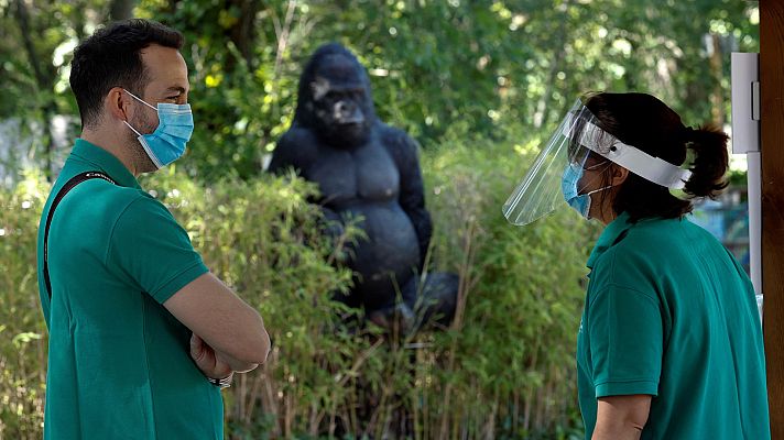 Telediario 1 - Reabre el Zoo de Madrid
