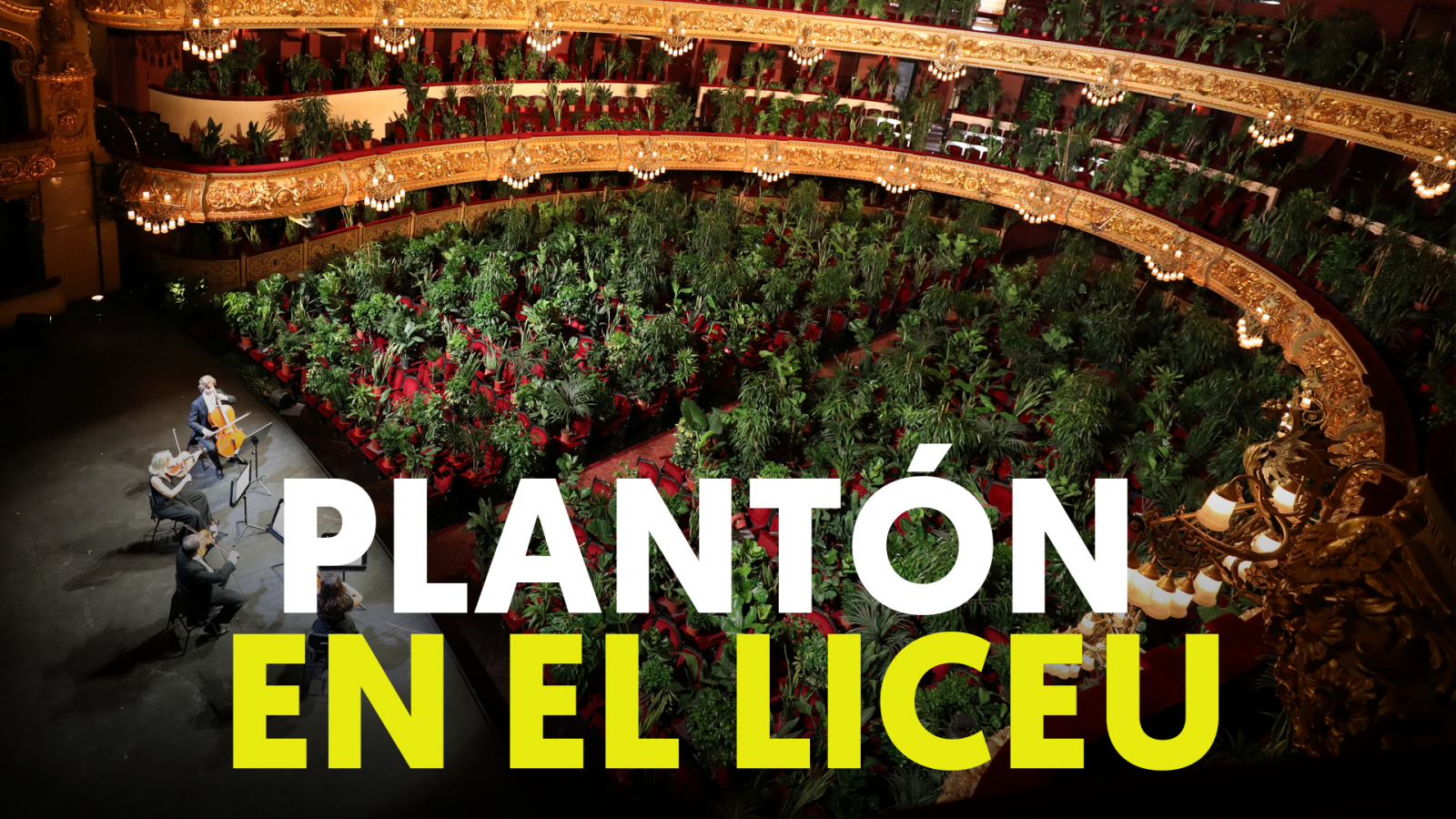 Coronavirus: El Liceu retoma su temporada con un concierto para plantas