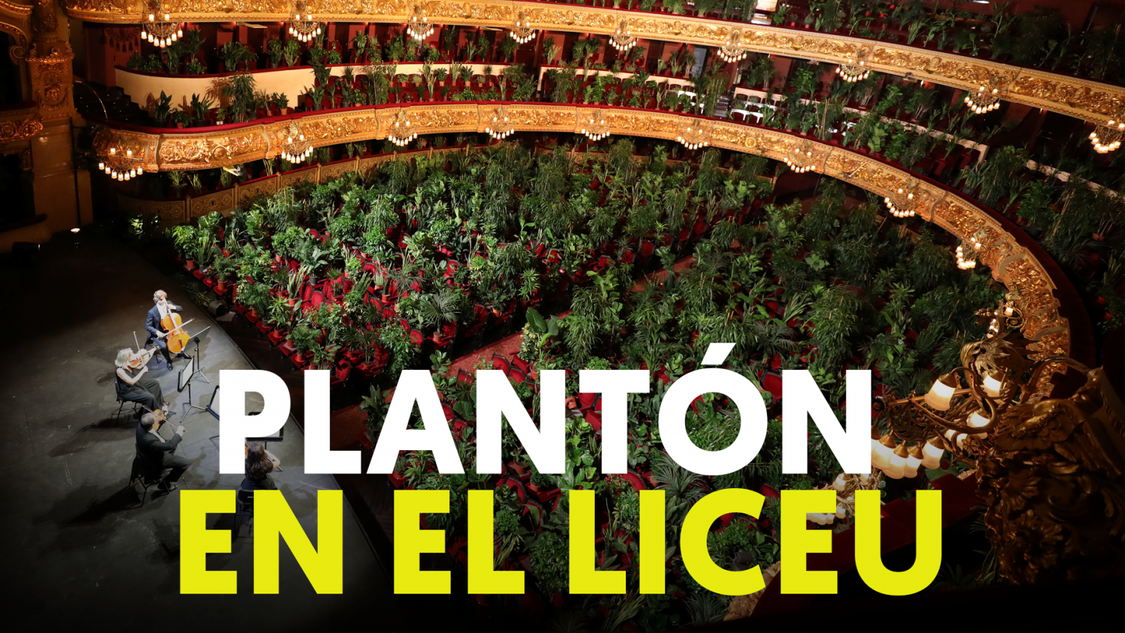 El Liceu retoma su temporada con un concierto para plantas