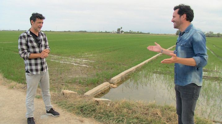 ¡La Albufera de Valencia de la mano de Nacho Fresneda!