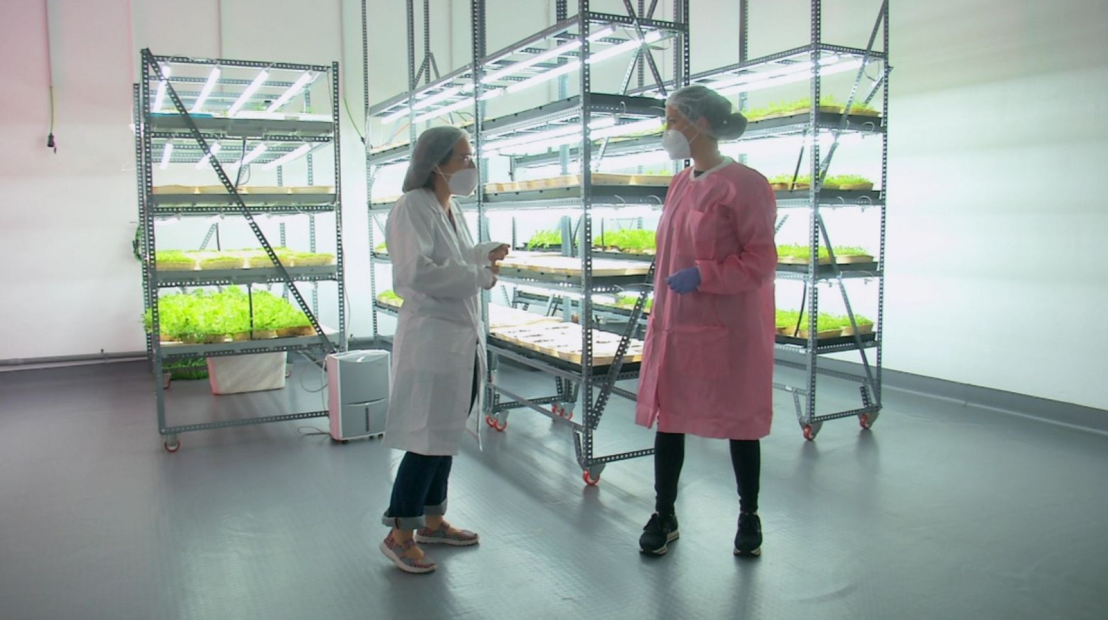 La agricultura del futuro: así es Ekonoke