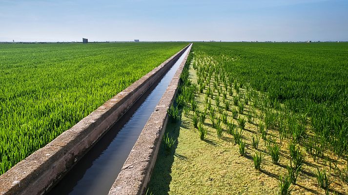 Aquí la Tierra - Aquí la Tierra - 23/06/20