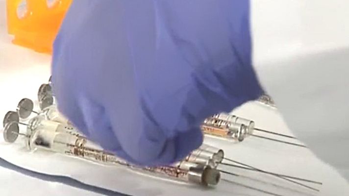 Diario 24 - Diario 24 - 25/05/20 (2)