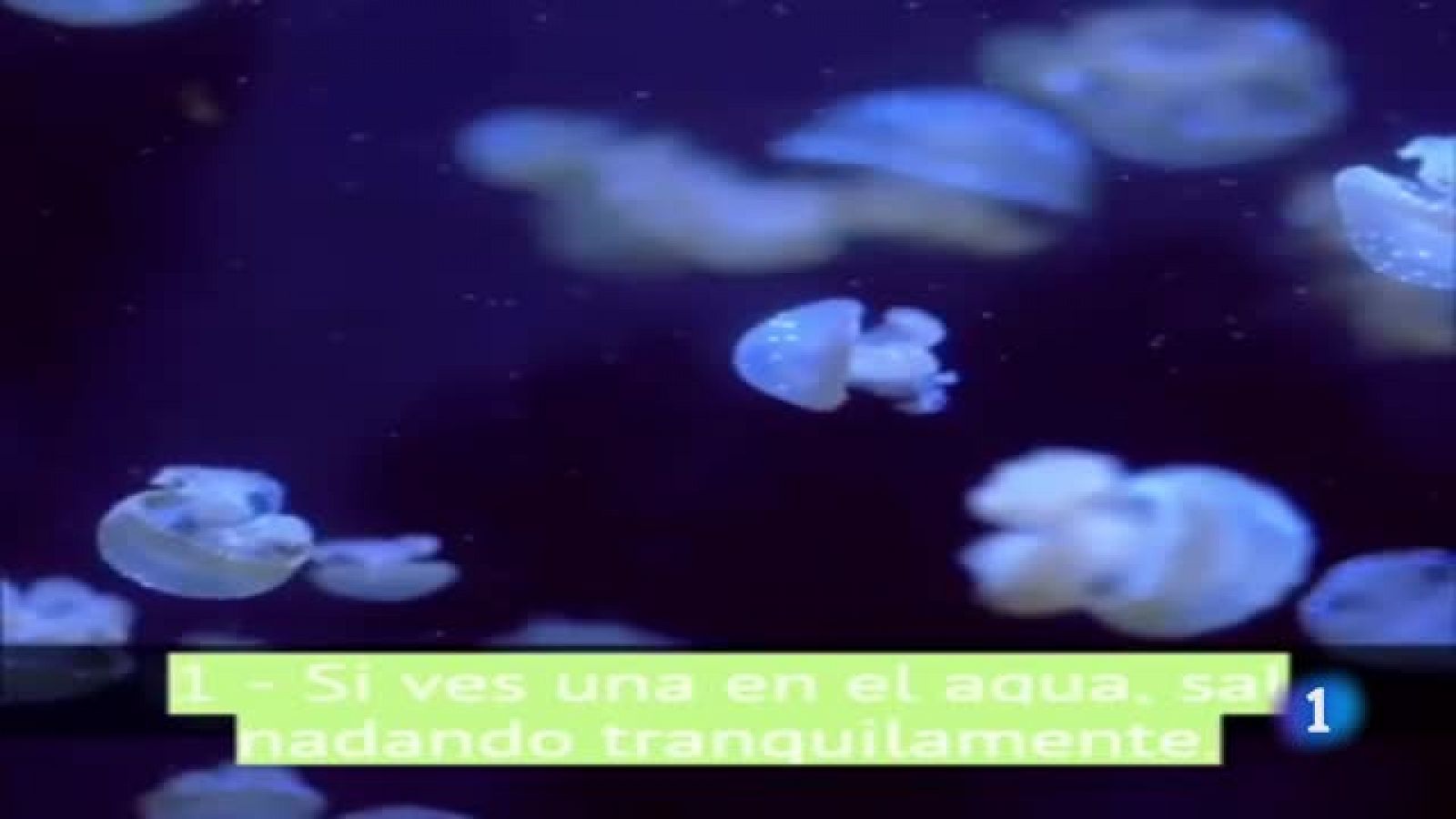 Consejos contra las picaduras de medusas