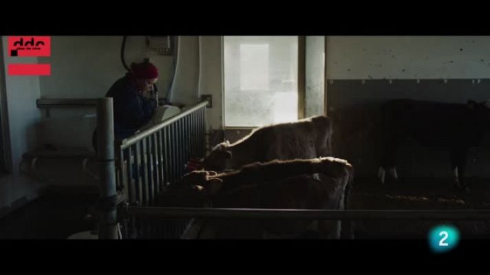 Días de cine - 'Oro blanco'