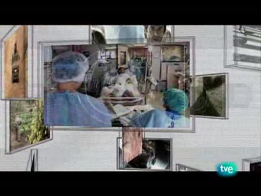 En realidad - Del asfalto a la tierra