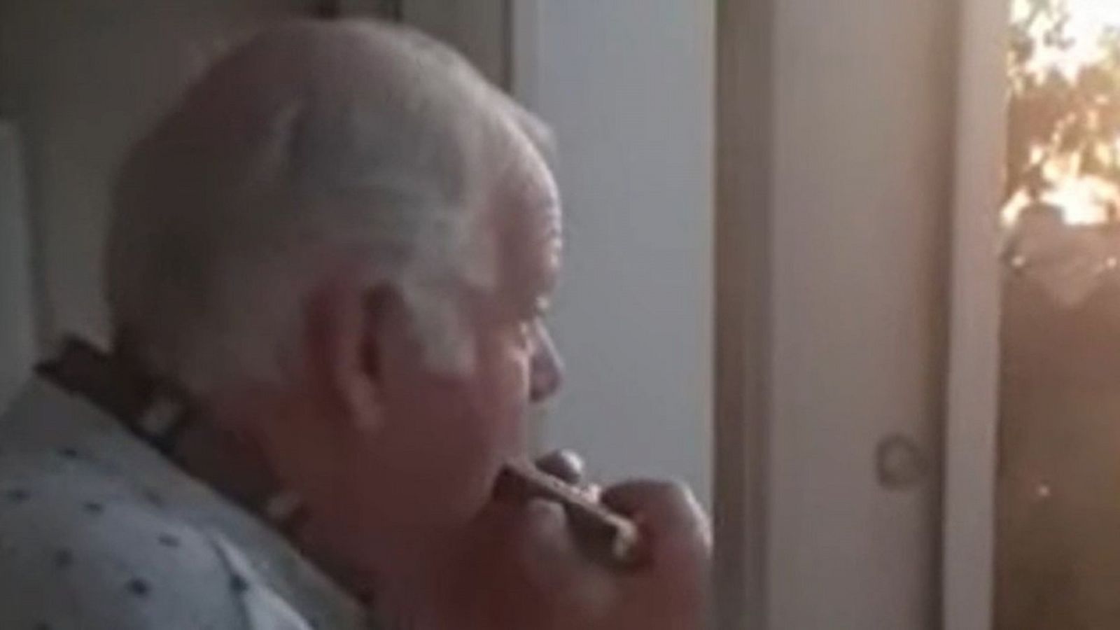 La armónica de Herman, una historia de película | Ver