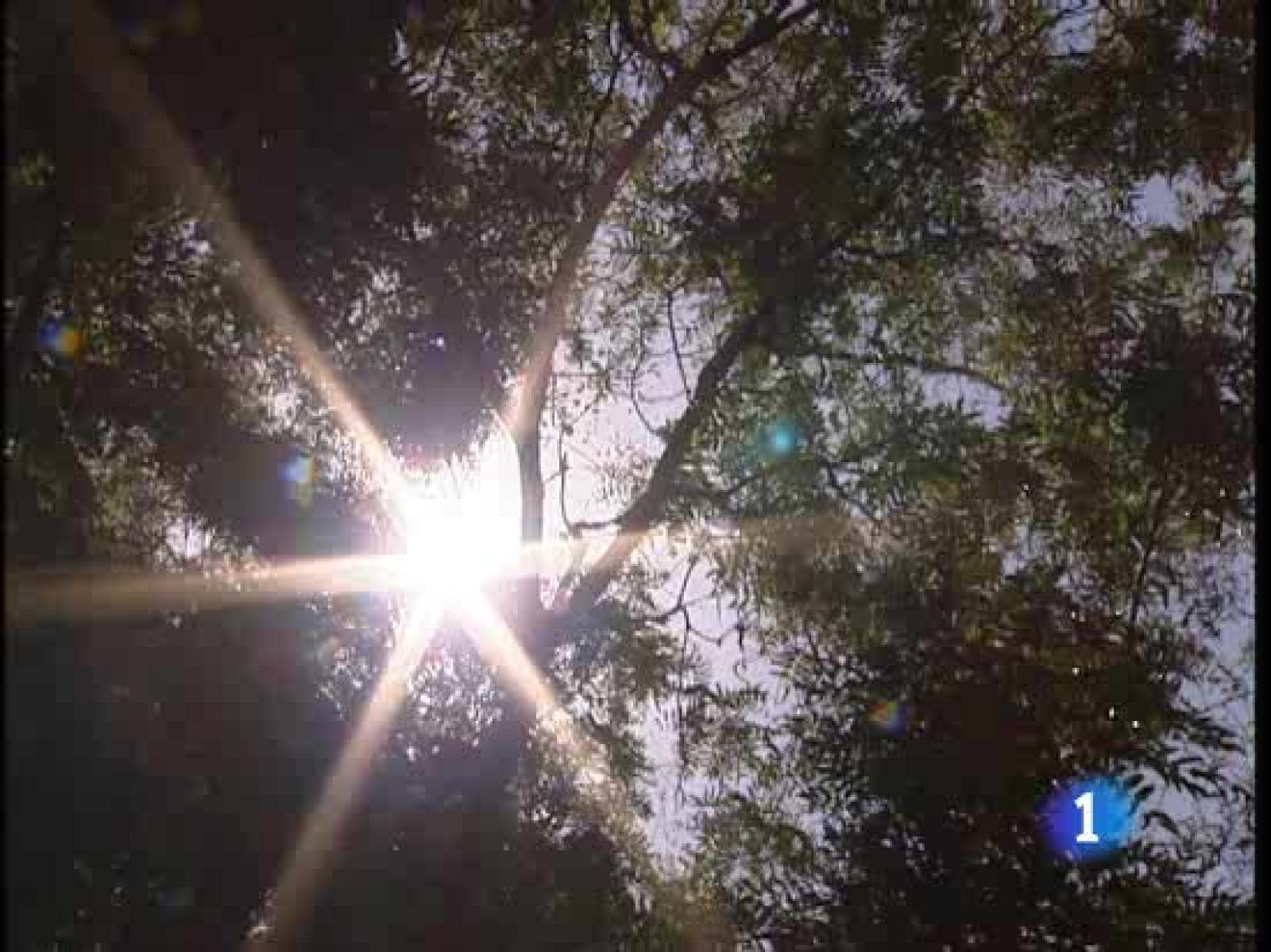 Un estudio hecho con datos de la Agencia Española de Metereología entre 1881 y 2008 llega a la conclusión de que en la capital de España ya no hay primavera. 