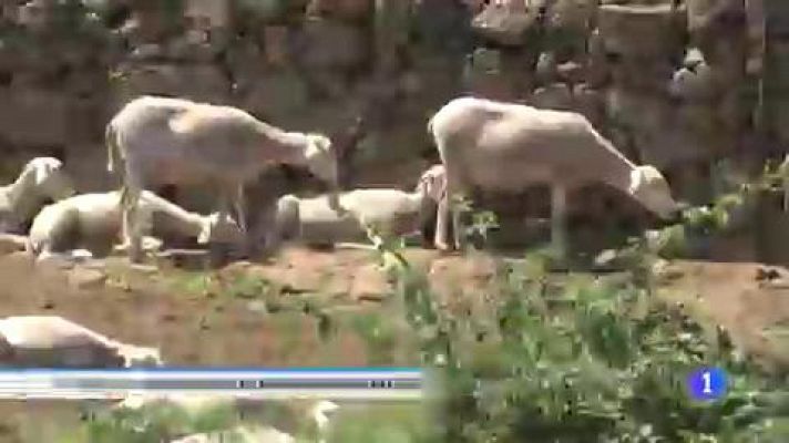 La Nave Va, un lugar de Extremadura donde se combinan el  Arte y la naturaleza