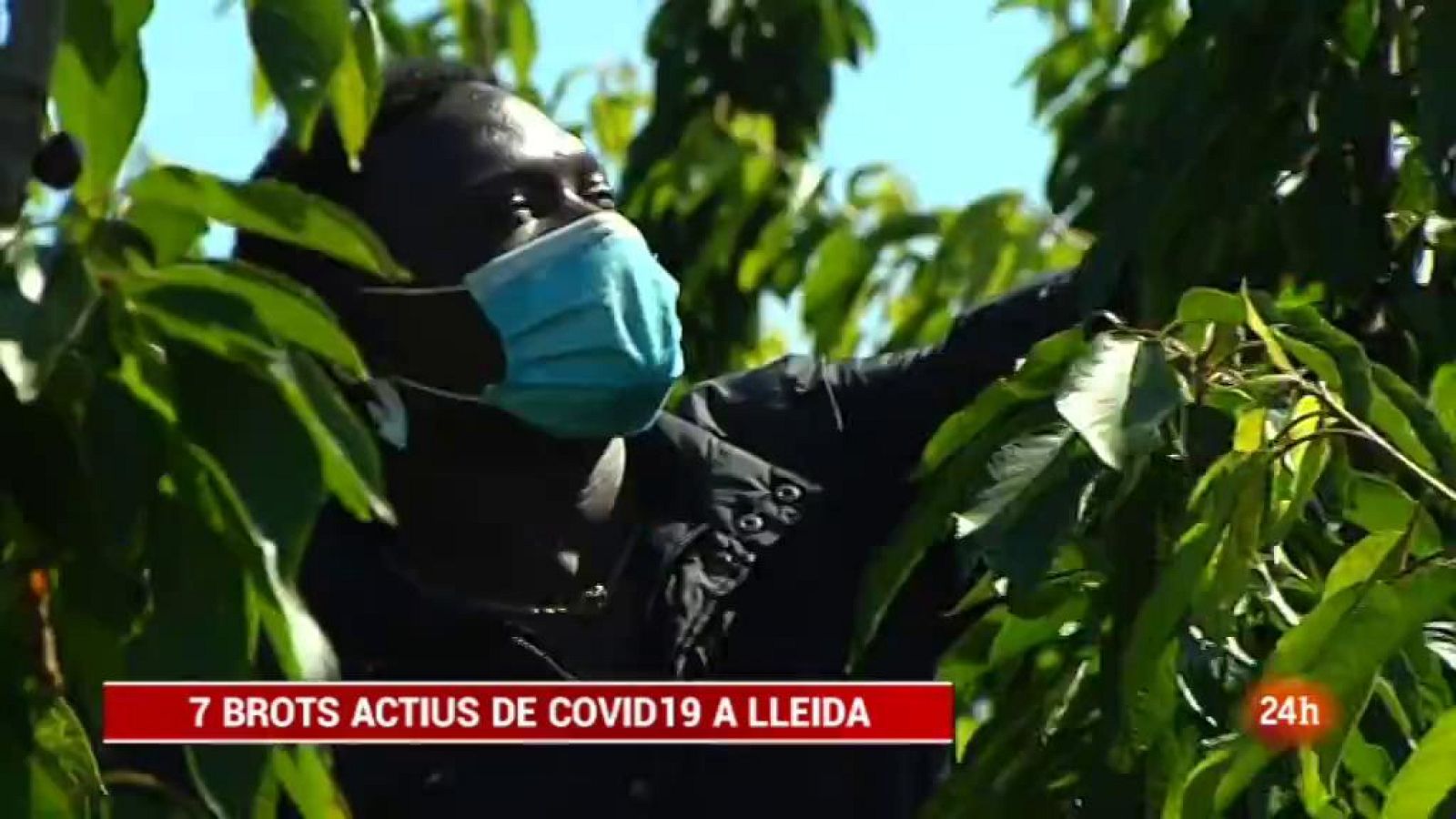 Vespre 24 - 31/06/2020