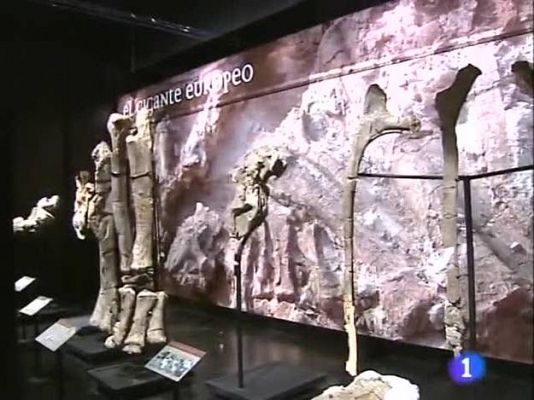 Noticias Aragón - Noticias Aragón - 04/08/09