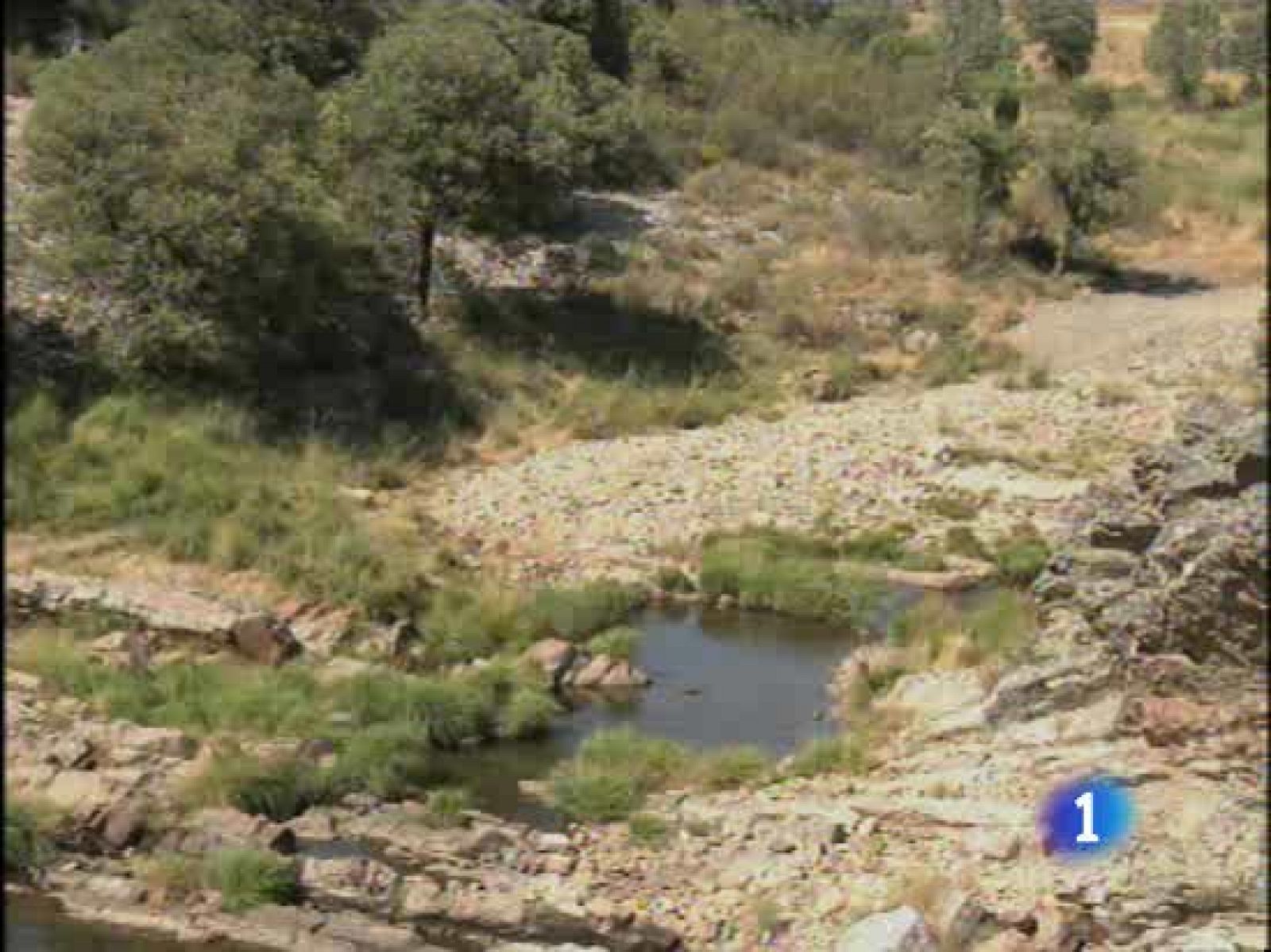 Descubren gusanos marinos gigantes que vivieron hace casi 500 millones de años