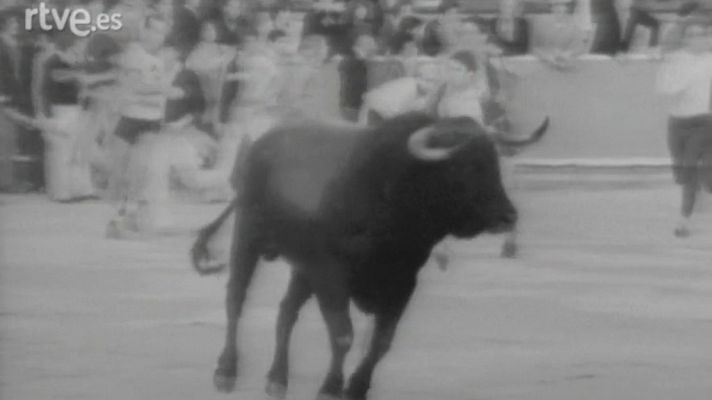Programas y Concursos en el Archivo de RTVE - Cuarto encierro de Sanfermines 1980