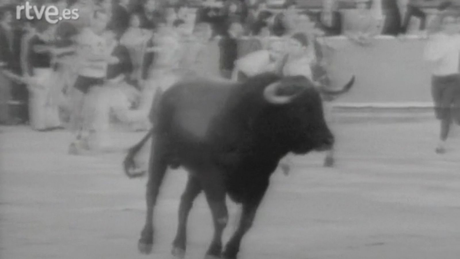 Cuarto encierro de Sanfermines 1980