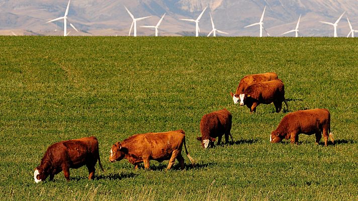 Aquí la Tierra - Aquí la tierra - 02/07/20