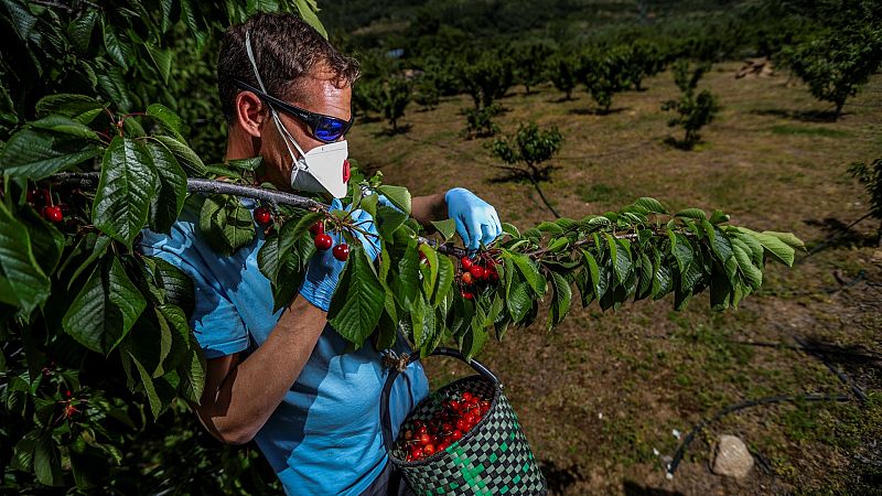 Las cooperativas agroalimentarias celebran su día internacional plantando cara al coronavirus