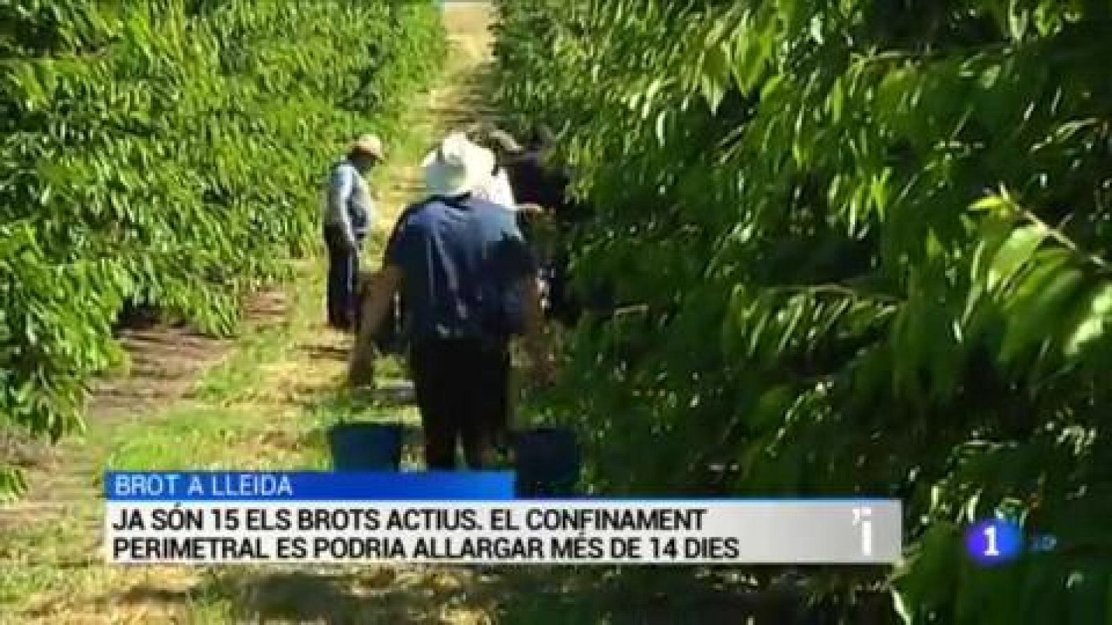 L'Informatiu | Sumari de les notícies del 06/07/2020 - RTVE.es