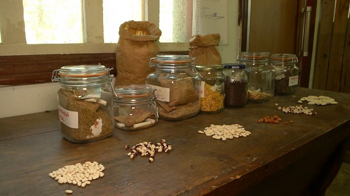 La cápsula del tiempo de nuestra abuelas... guarda semillas