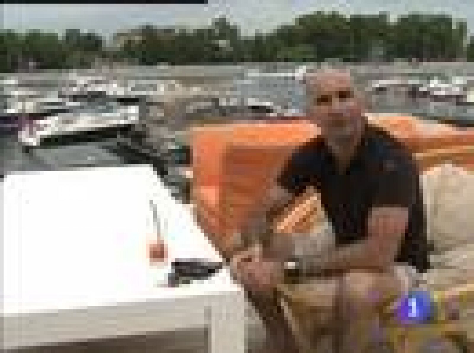 Españoles en San Petersburgo. Fernando