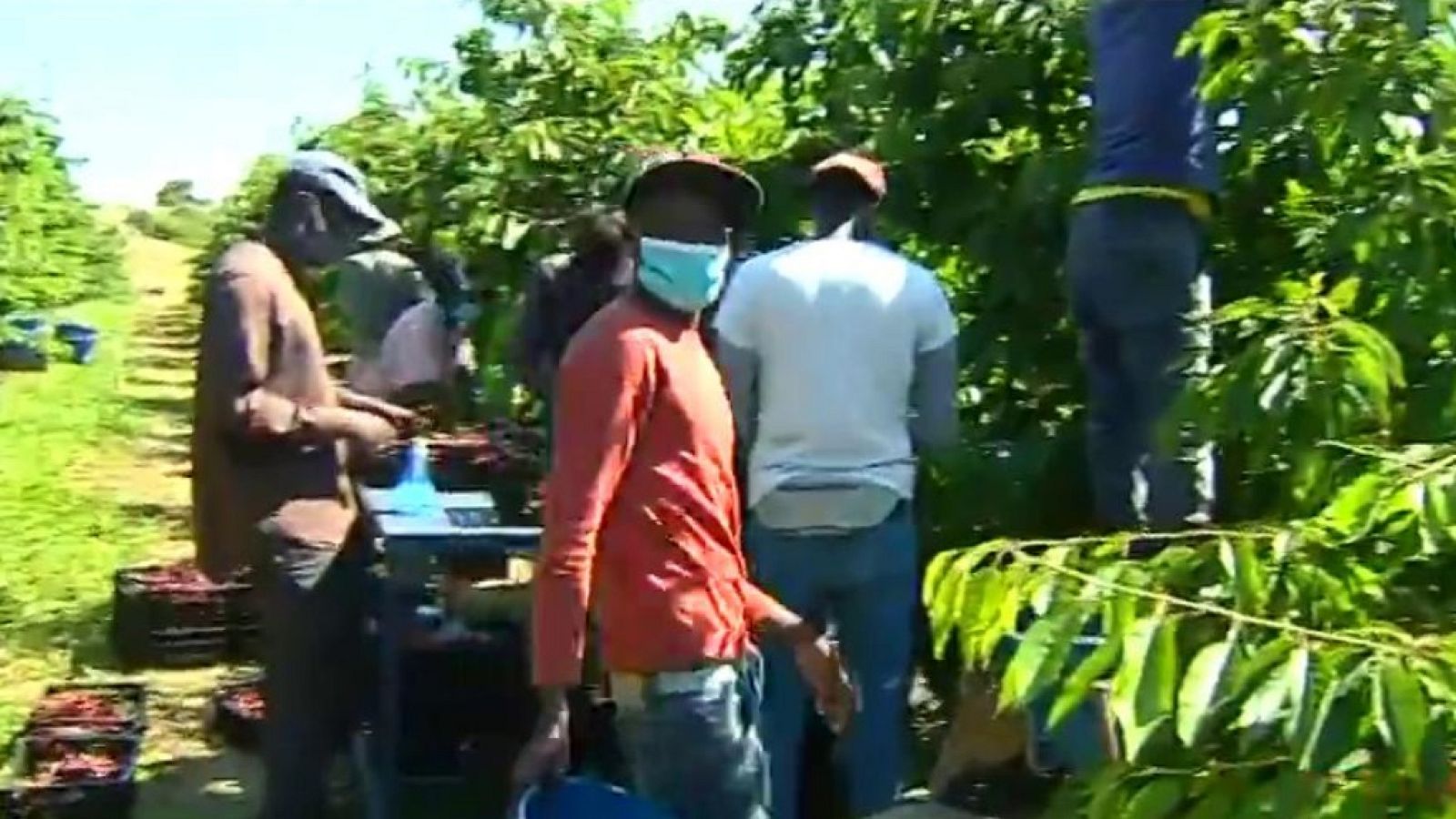 Diario 24 - 10/07/20 (1) - ver ahora