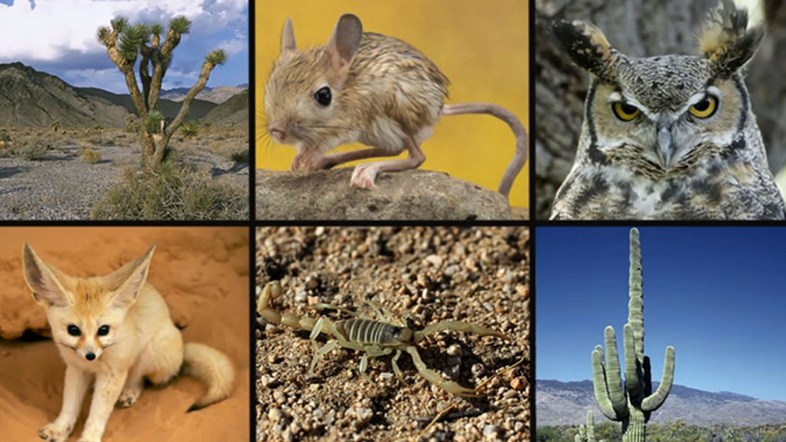 Saber y ganar - 10/07/20 - ver ahora