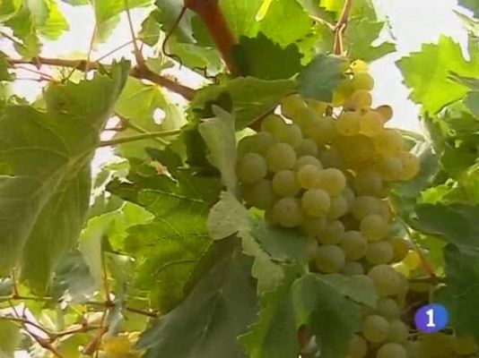 Noticias de Castilla-La Mancha - Noticias de Castilla-La Mancha - 05/08/09