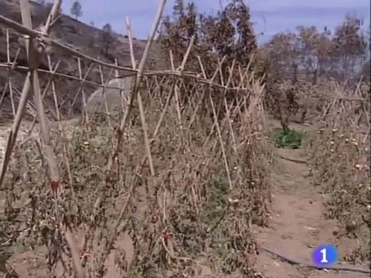 Noticias Aragón - Noticias Aragón - 05/08/09