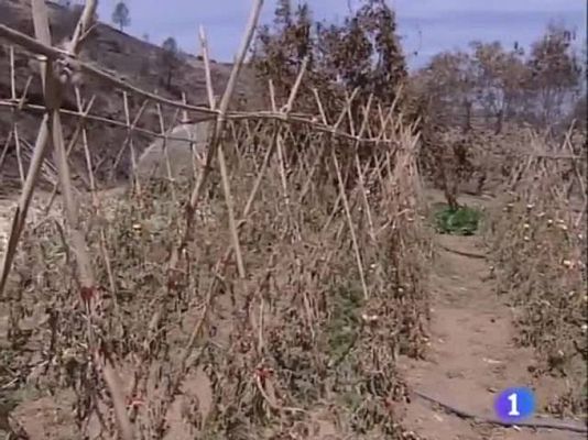 Noticias Aragón - Noticias Aragón - 05/08/09