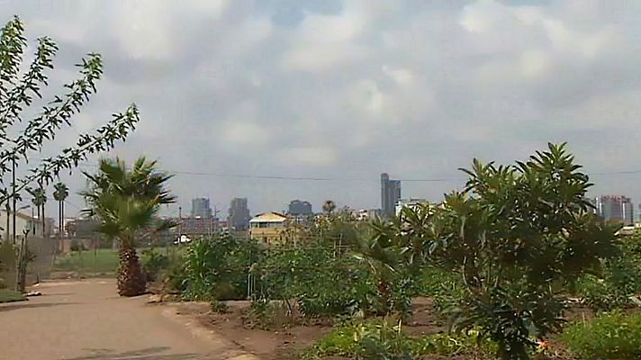 L'informatiu - Comunitat Valenciana - L'Informatiu - Comunitat Valenciana 2 - 13/07/20