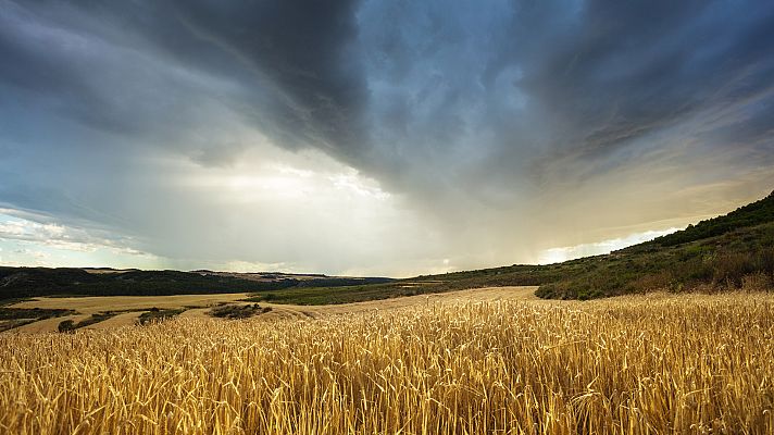 Chubascos y  tormentas en Pirineos, Cataluña y sistema Ibérico oriental