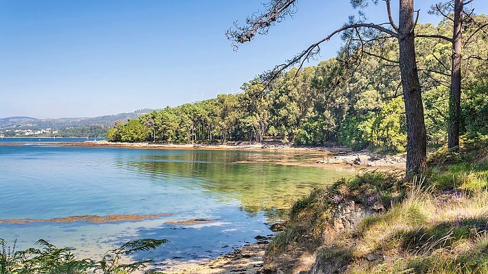 España Directo - España Directo - 13/07/20