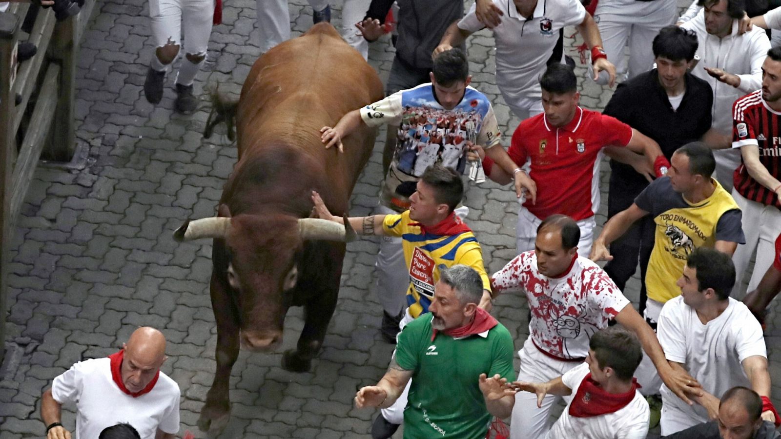 'Corriendo al 2021': Los toros de la ganaderia de Pablo Romero corriendo el encierro más "extraño" de la historia
