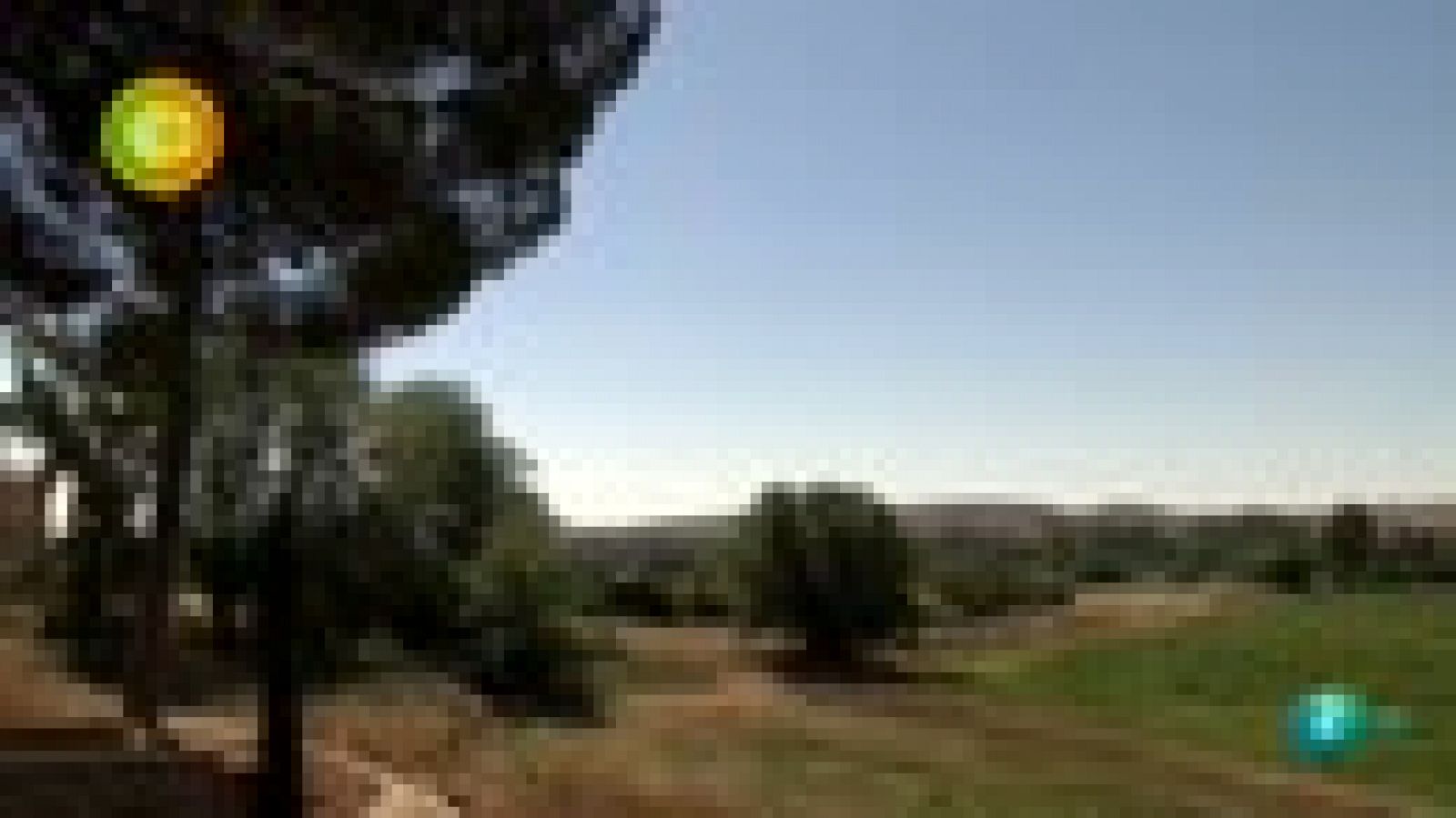 Agrosfera - En clave rural- Real Cortijo de San Isidro- RTVE.es | Ver