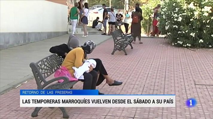 RTVE Igualdad - Las temporeras de Huelva podrán volver a Marruecos tras semanas de espera